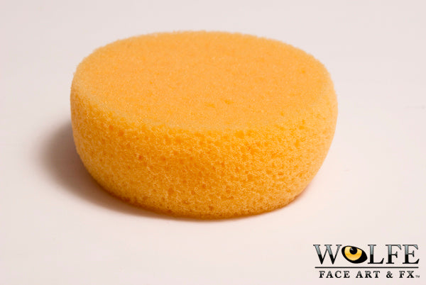 Make-Up Sponge