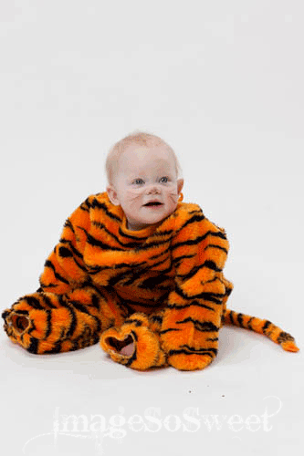 LITTLE TIGER