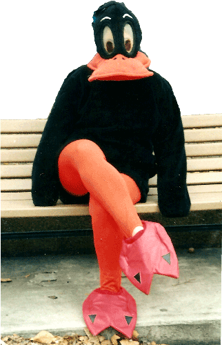 DAFFY DUCK COSTUME one size fits all