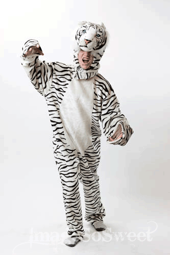 tiger dress WHITE TIGER COSTUME one size fits all – taylormaidbeautyandtheatrical.com