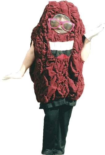 CALIFORNIA RAISIN COSTUME one size fits all