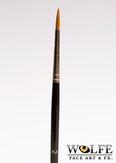 Professional Brushes