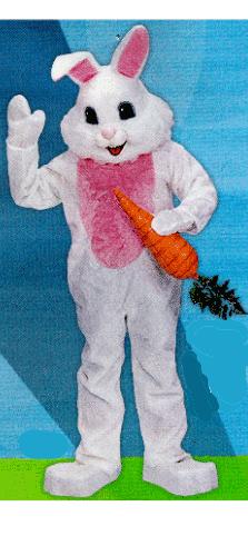 PINK AND WHITE DLX BUNNY one size fits all