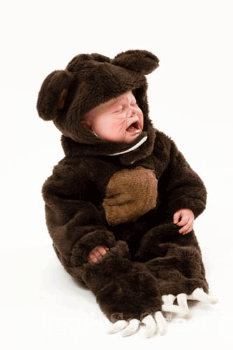 TEDDY BEAR