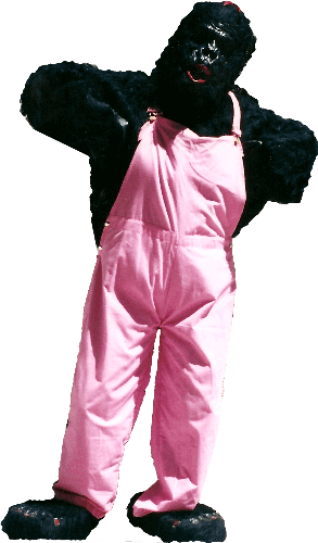 GORILLA GIRL COSTUME one size fits all
