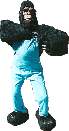 GORILLA BOY COSTUME one size fits all
