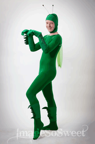 GRASSHOPPER COSTUME size small