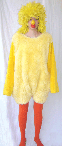 YELLOW BIRD COSTUME one size fits all