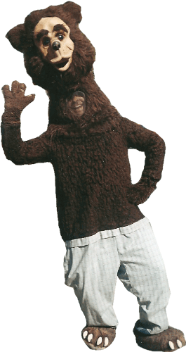 PAPA BEAR COSTUME one size fits all