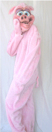 PIG COSTUME one size fits all