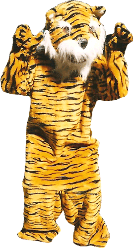 TIGER COSTUME one size fits all