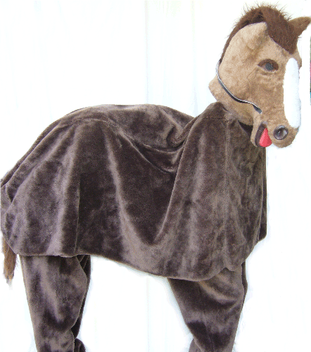 HORSE COSTUME 2 person