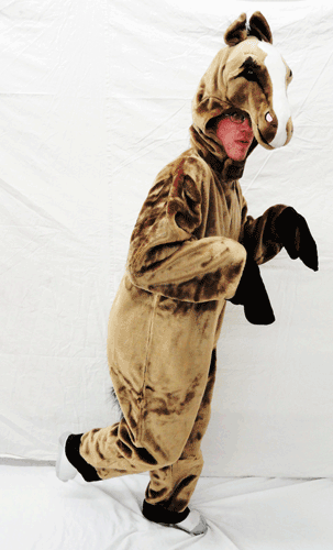 HORSE COSTUME one size fits all