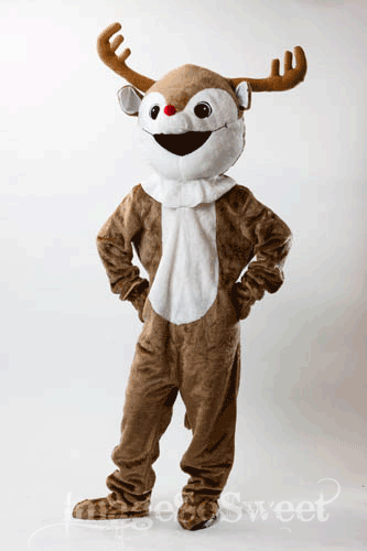 Disguise Rudolph RUDOLPH COSTUME one size fits all – taylormaidbeautyandtheatrical.com
