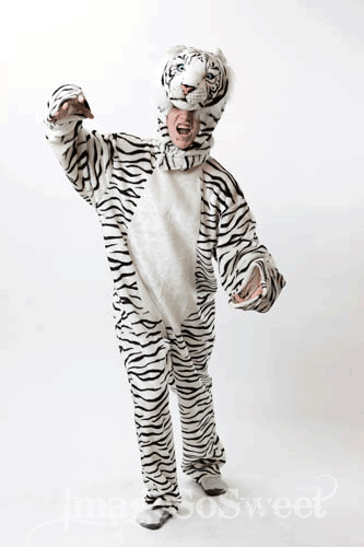 WHITE TIGER COSTUME one size fits all