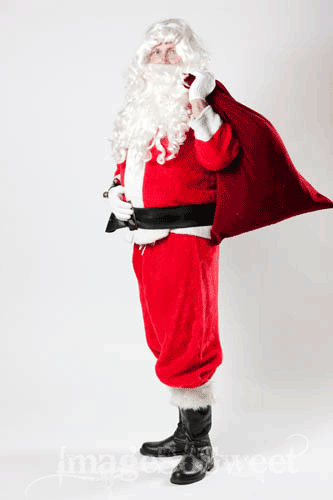 Santa Suit 2 (One Size)
