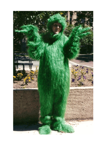 Grinch Suit 34 (One Size)