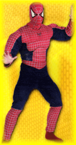 SPIDERMAN #1 one size